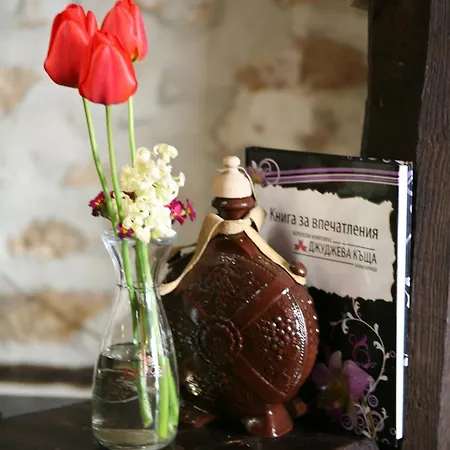 מלון Djudjeva Kyshta