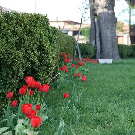 Djudjeva Kyshta פנגיורישטה