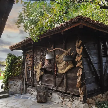 Djudjeva Kyshta 3* פנגיורישטה