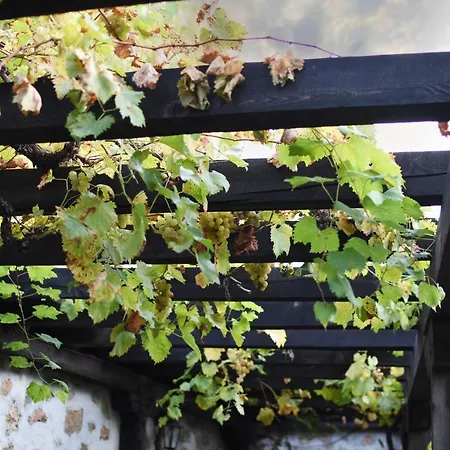 מלון Djudjeva Kyshta 3*