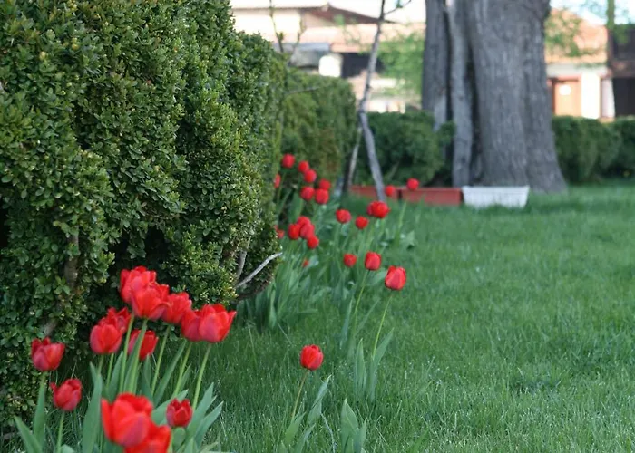 Djudjeva Kyshta パナギュリシテ