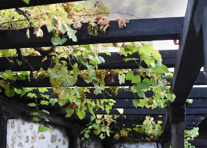 ホテル Djudjeva Kyshta 3*